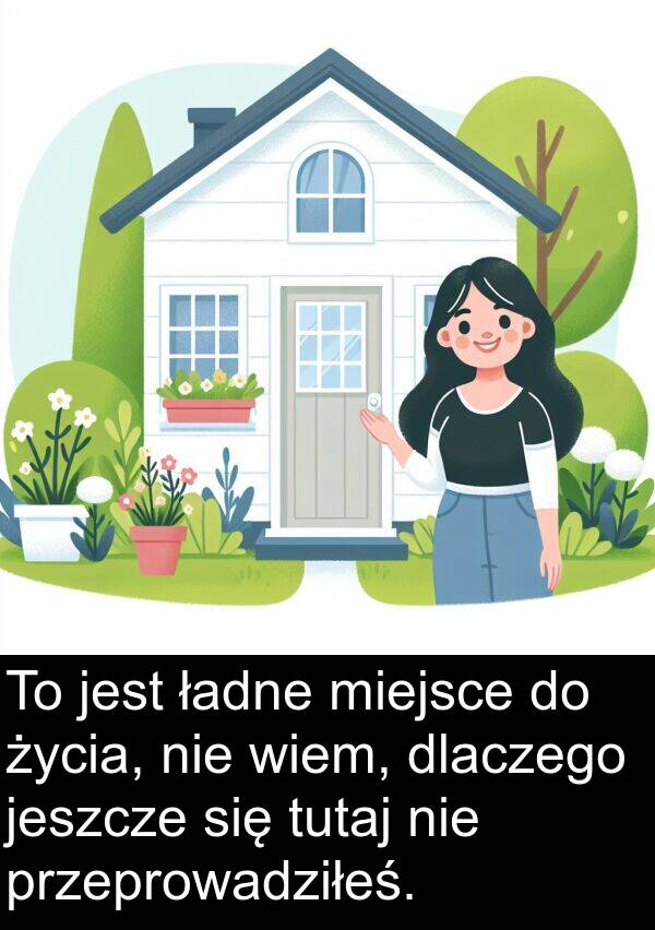 dlaczego: To jest ładne miejsce do życia, nie wiem, dlaczego jeszcze się tutaj nie przeprowadziłeś.