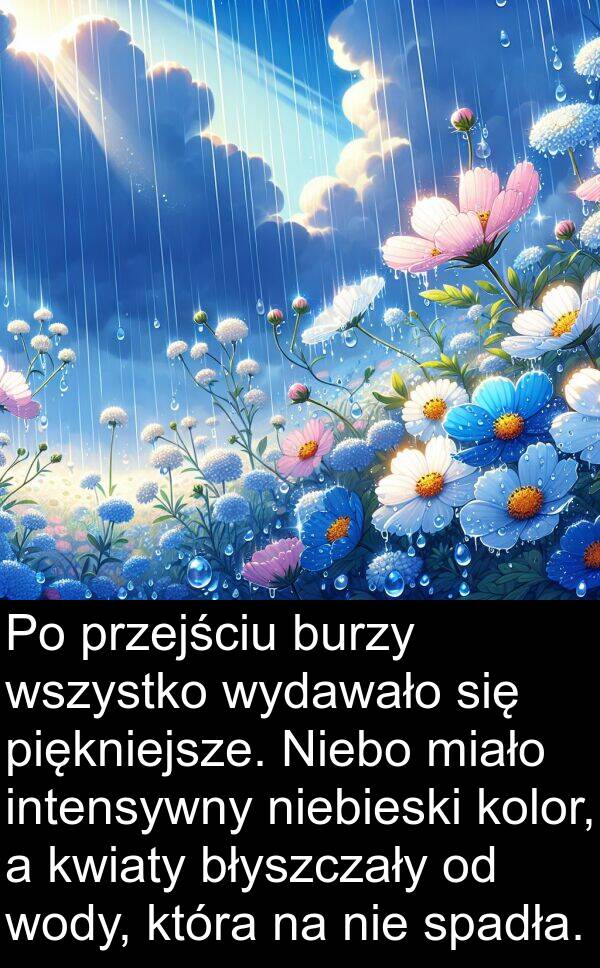 miało: Po przejściu burzy wszystko wydawało się piękniejsze. Niebo miało intensywny niebieski kolor, a kwiaty błyszczały od wody, która na nie spadła.