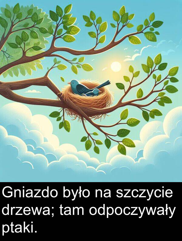 tam: Gniazdo było na szczycie drzewa; tam odpoczywały ptaki.