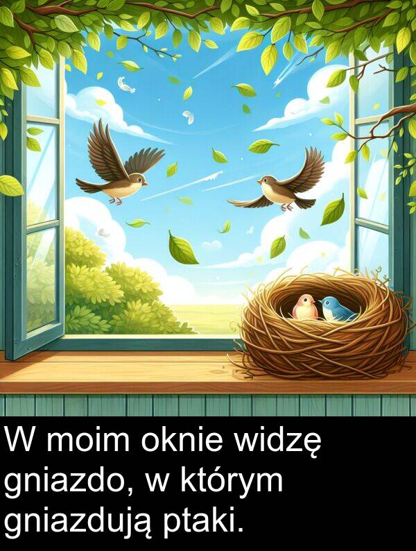 gniazdo: W moim oknie widzę gniazdo, w którym gniazdują ptaki.