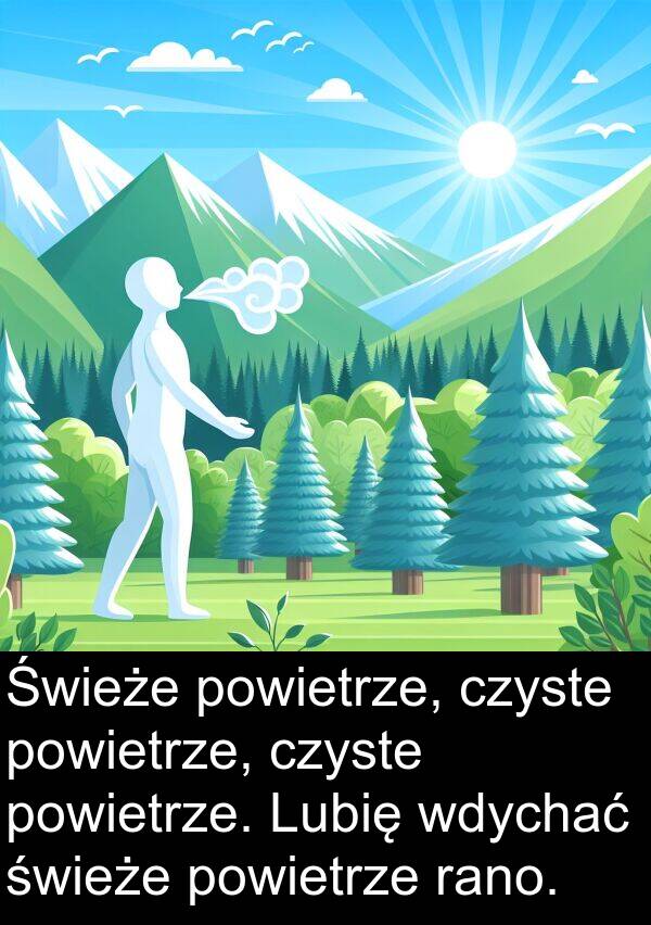 czyste: Świeże powietrze, czyste powietrze, czyste powietrze. Lubię wdychać świeże powietrze rano.