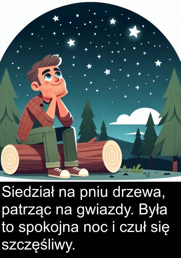 gwiazdy: Siedział na pniu drzewa, patrząc na gwiazdy. Była to spokojna noc i czuł się szczęśliwy.