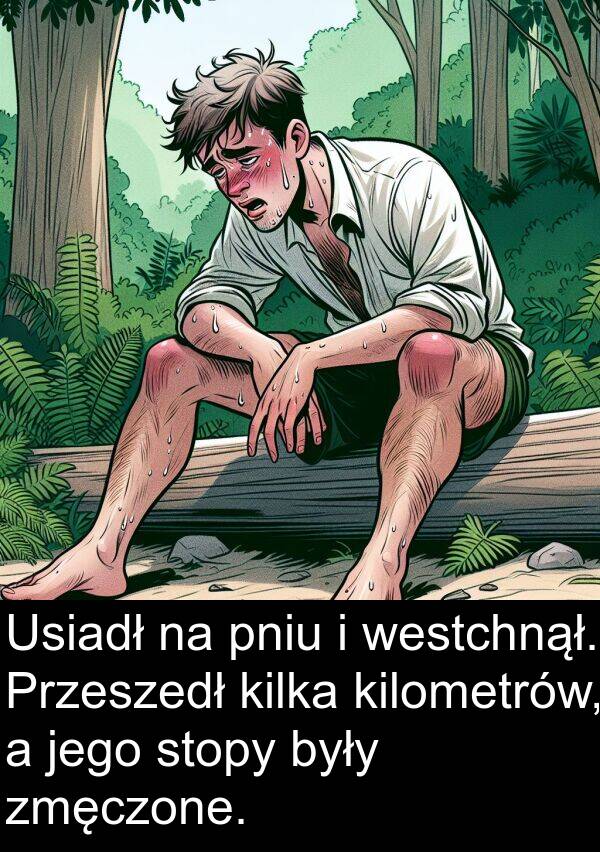 kilka: Usiadł na pniu i westchnął. Przeszedł kilka kilometrów, a jego stopy były zmęczone.