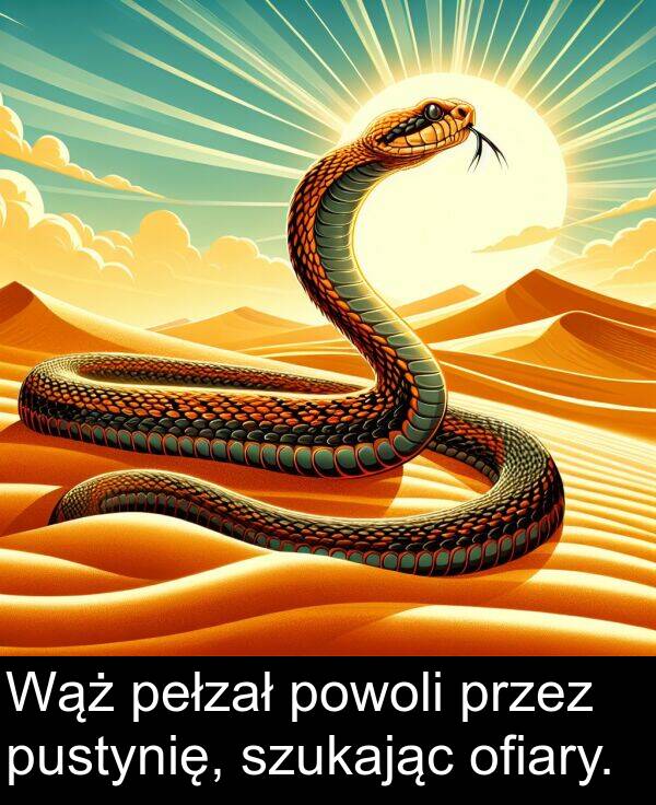 szukając: Wąż pełzał powoli przez pustynię, szukając ofiary.