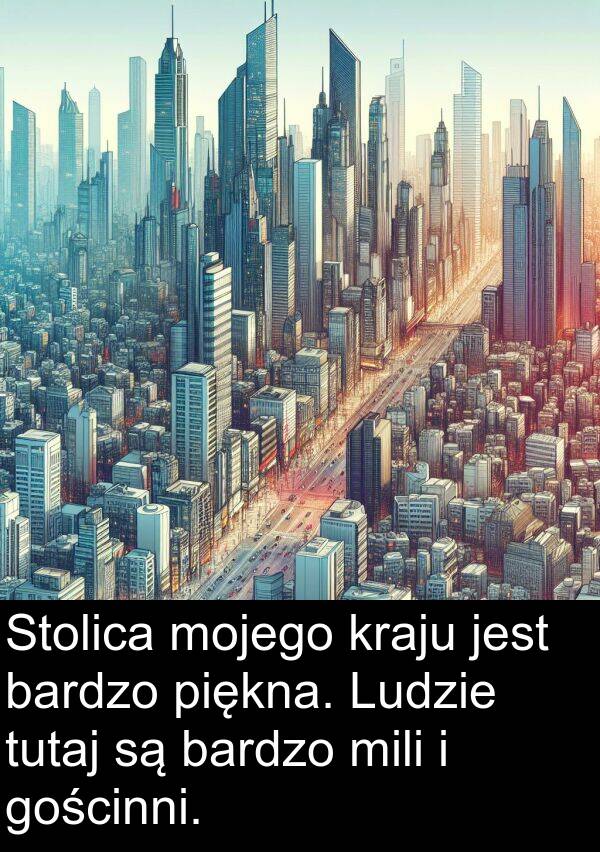 gościnni: Stolica mojego kraju jest bardzo piękna. Ludzie tutaj są bardzo mili i gościnni.