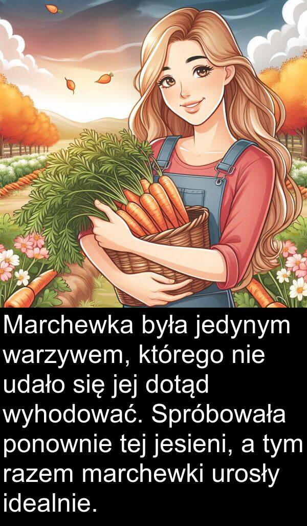 jesieni: Marchewka była jedynym warzywem, którego nie udało się jej dotąd wyhodować. Spróbowała ponownie tej jesieni, a tym razem marchewki urosły idealnie.