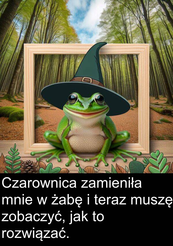 muszę: Czarownica zamieniła mnie w żabę i teraz muszę zobaczyć, jak to rozwiązać.