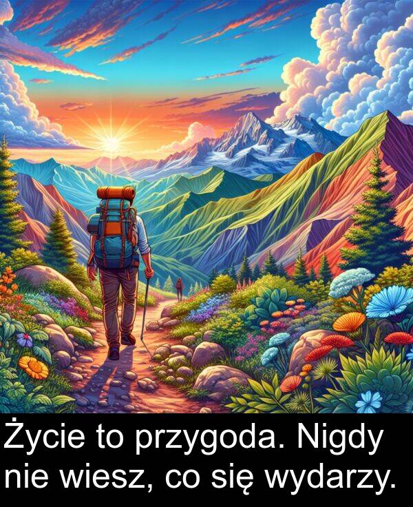 przygoda: Życie to przygoda. Nigdy nie wiesz, co się wydarzy.