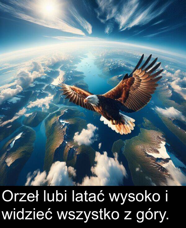 latać: Orzeł lubi latać wysoko i widzieć wszystko z góry.