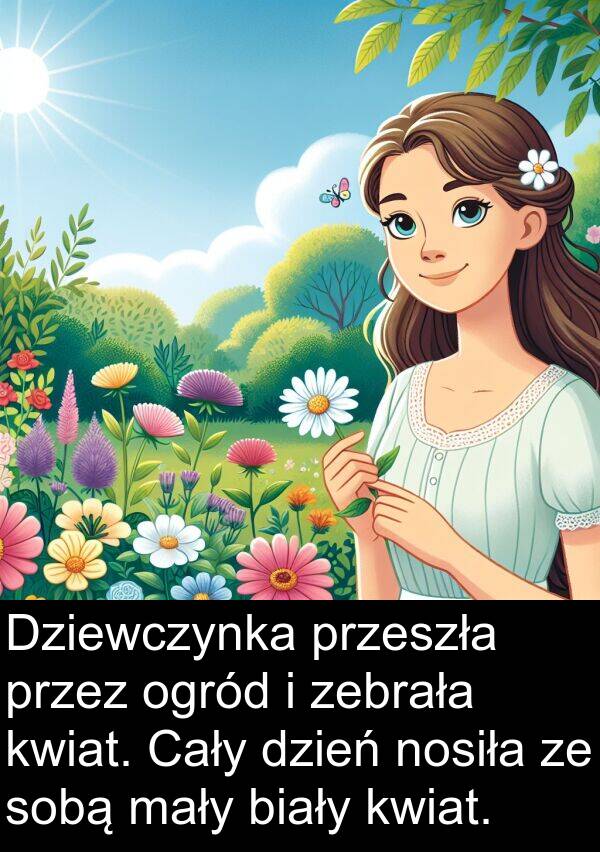 mały: Dziewczynka przeszła przez ogród i zebrała kwiat. Cały dzień nosiła ze sobą mały biały kwiat.