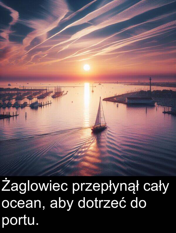 cały: Żaglowiec przepłynął cały ocean, aby dotrzeć do portu.