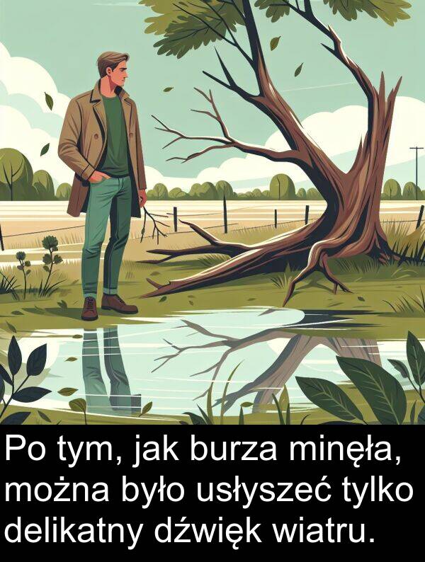 delikatny: Po tym, jak burza minęła, można było usłyszeć tylko delikatny dźwięk wiatru.