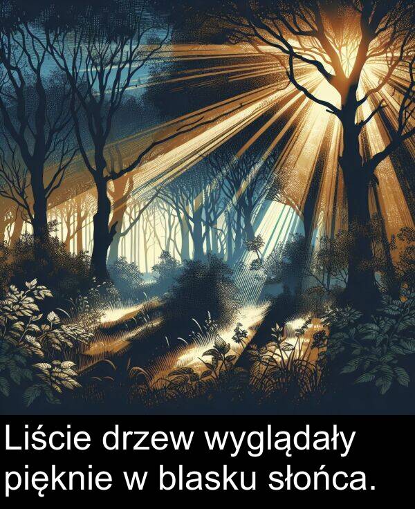 drzew: Liście drzew wyglądały pięknie w blasku słońca.