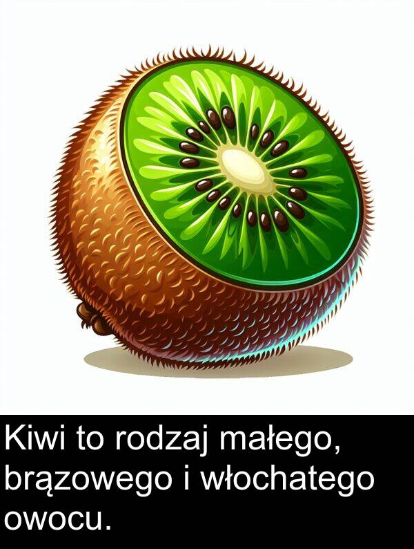 brązowego: Kiwi to rodzaj małego, brązowego i włochatego owocu.