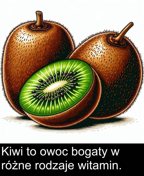 witamin: Kiwi to owoc bogaty w różne rodzaje witamin.