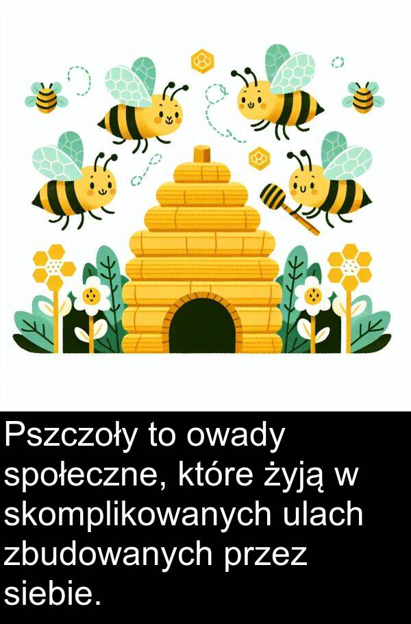 siebie: Pszczoły to owady społeczne, które żyją w skomplikowanych ulach zbudowanych przez siebie.