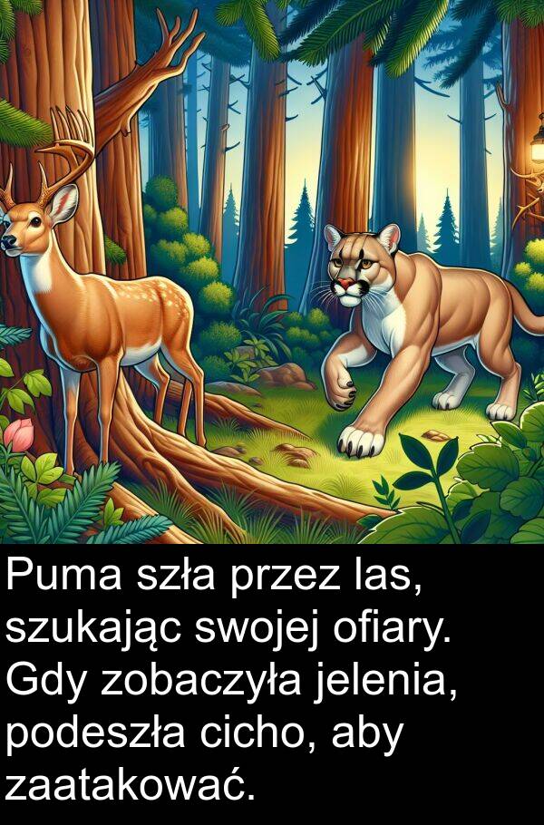 jelenia: Puma szła przez las, szukając swojej ofiary. Gdy zobaczyła jelenia, podeszła cicho, aby zaatakować.