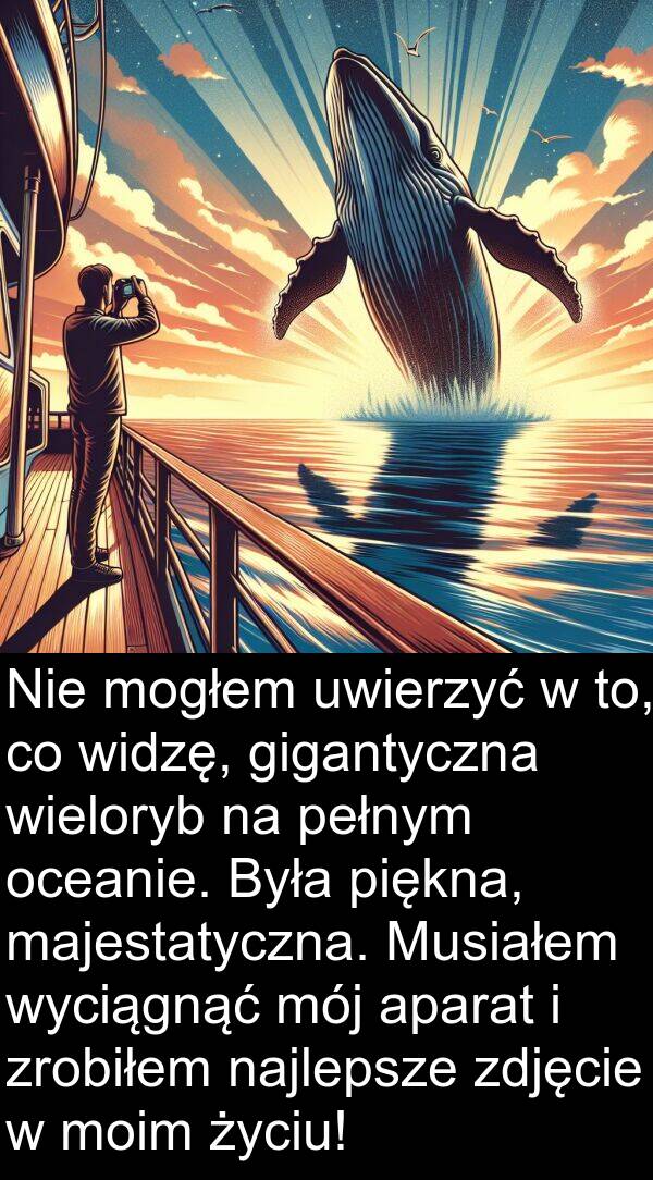 to: Nie mogłem uwierzyć w to, co widzę, gigantyczna wieloryb na pełnym oceanie. Była piękna, majestatyczna. Musiałem wyciągnąć mój aparat i zrobiłem najlepsze zdjęcie w moim życiu!