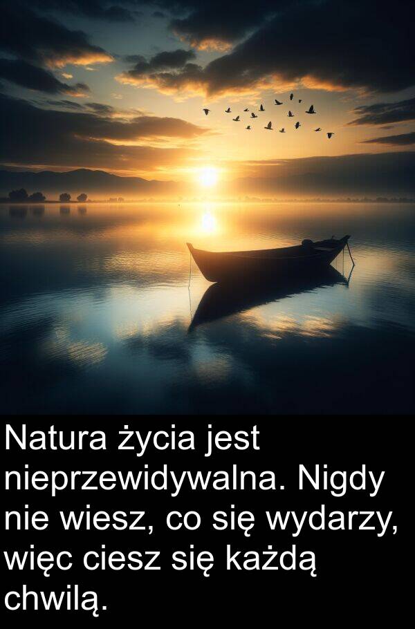 chwilą: Natura życia jest nieprzewidywalna. Nigdy nie wiesz, co się wydarzy, więc ciesz się każdą chwilą.