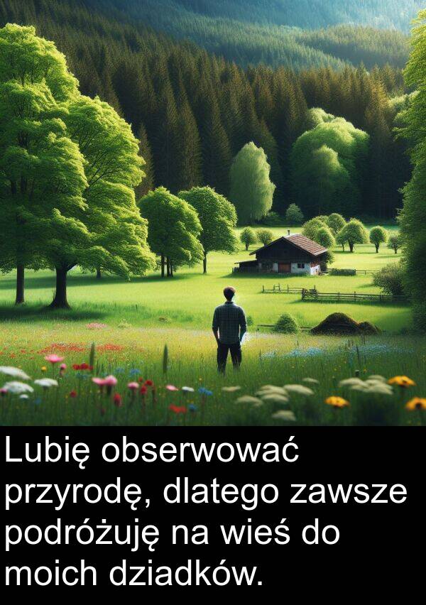 dlatego: Lubię obserwować przyrodę, dlatego zawsze podróżuję na wieś do moich dziadków.