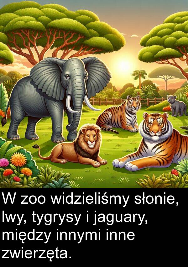 inne: W zoo widzieliśmy słonie, lwy, tygrysy i jaguary, między innymi inne zwierzęta.