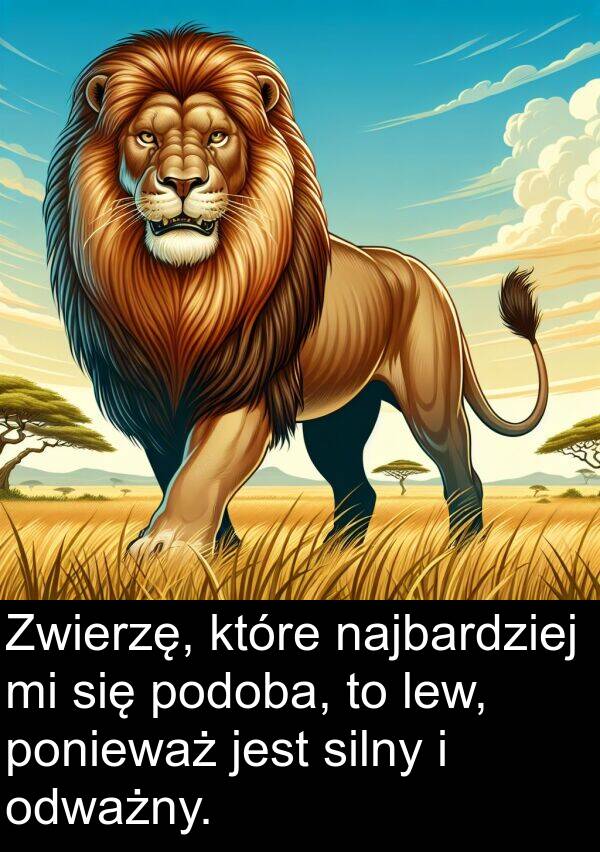 silny: Zwierzę, które najbardziej mi się podoba, to lew, ponieważ jest silny i odważny.