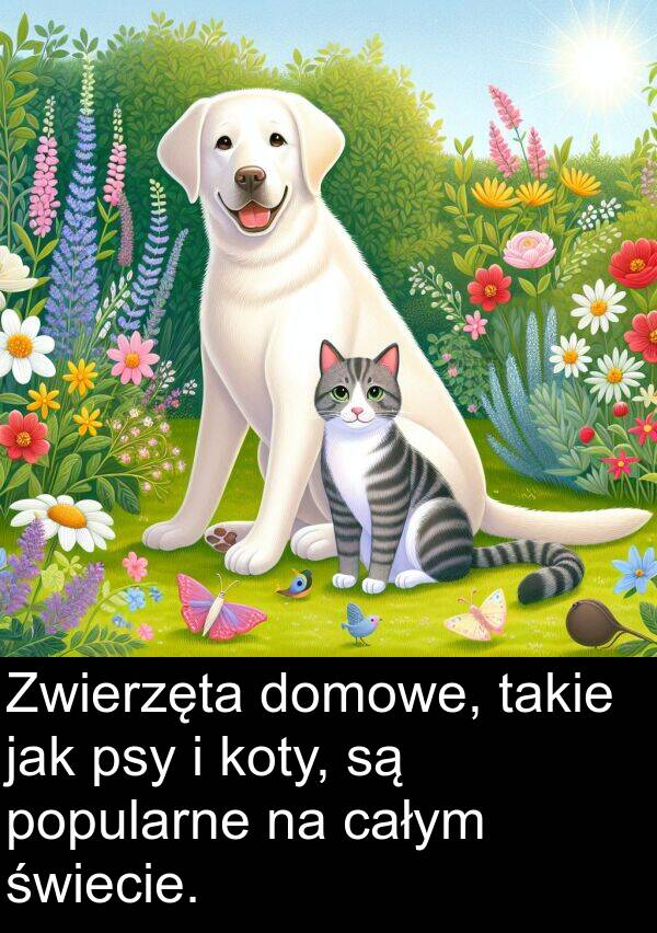 jak: Zwierzęta domowe, takie jak psy i koty, są popularne na całym świecie.