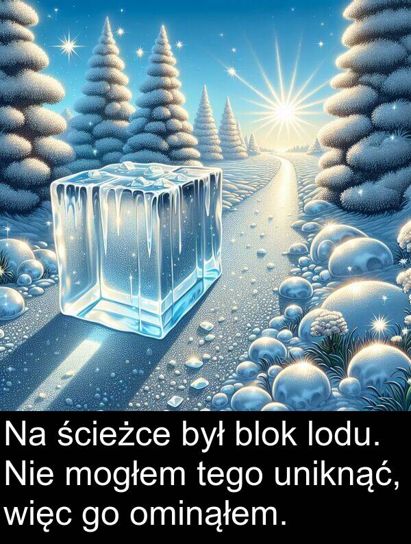 lodu: Na ścieżce był blok lodu. Nie mogłem tego uniknąć, więc go ominąłem.