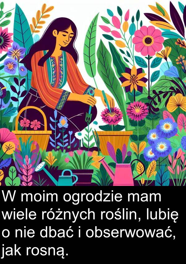 dbać: W moim ogrodzie mam wiele różnych roślin, lubię o nie dbać i obserwować, jak rosną.