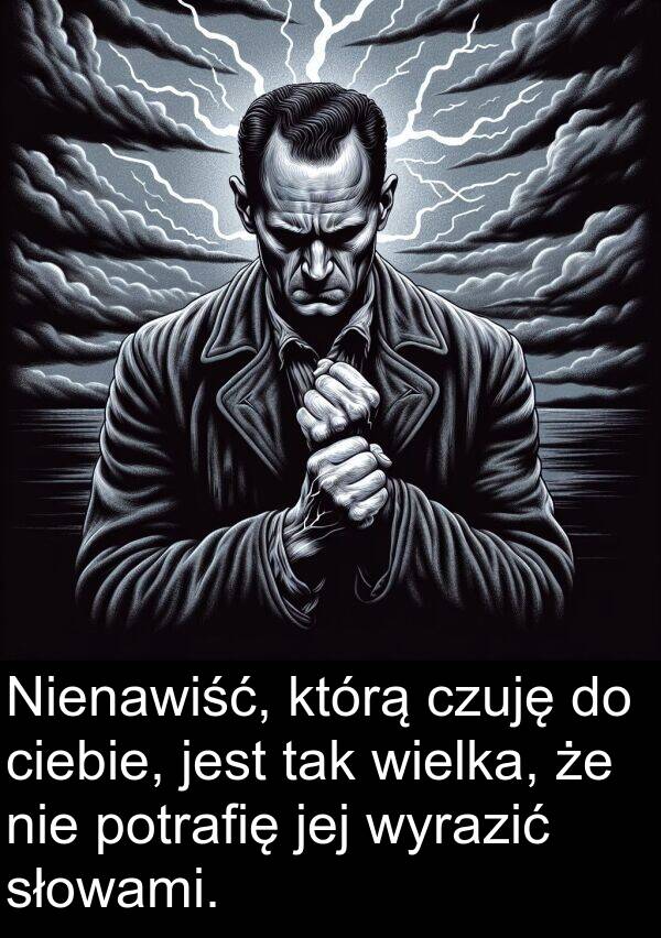 tak: Nienawiść, którą czuję do ciebie, jest tak wielka, że nie potrafię jej wyrazić słowami.