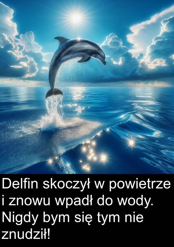 skoczył: Delfin skoczył w powietrze i znowu wpadł do wody. Nigdy bym się tym nie znudził!