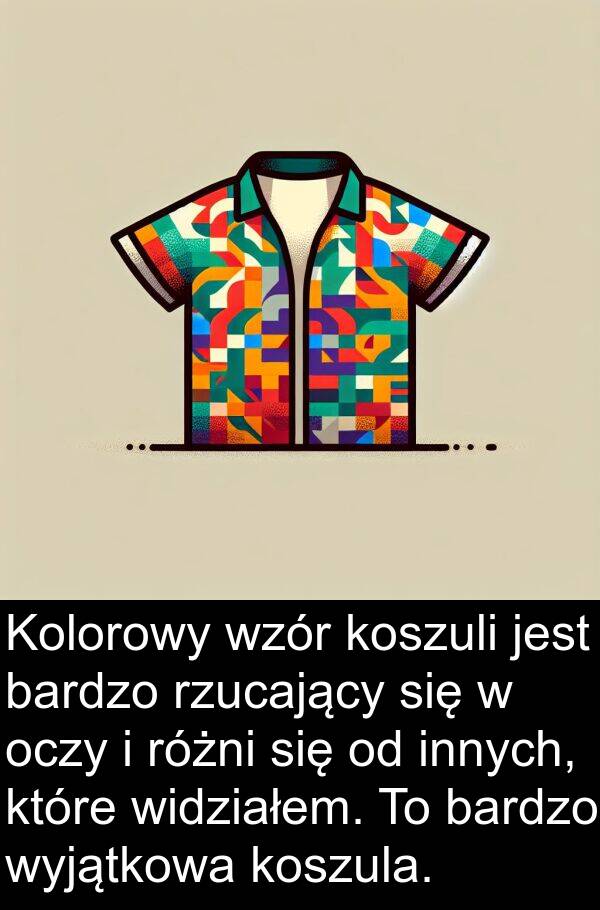 koszula: Kolorowy wzór koszuli jest bardzo rzucający się w oczy i różni się od innych, które widziałem. To bardzo wyjątkowa koszula.