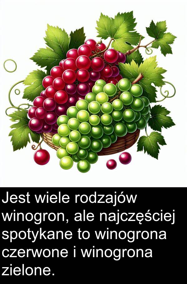 najczęściej: Jest wiele rodzajów winogron, ale najczęściej spotykane to winogrona czerwone i winogrona zielone.