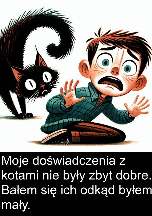 dobre: Moje doświadczenia z kotami nie były zbyt dobre. Bałem się ich odkąd byłem mały.