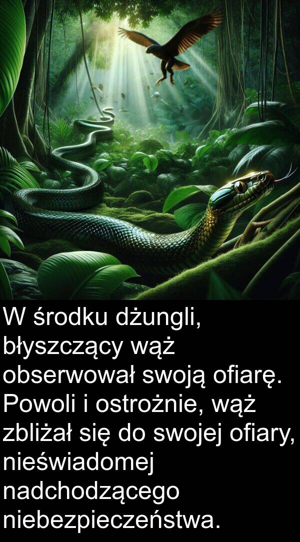 dżungli: W środku dżungli, błyszczący wąż obserwował swoją ofiarę. Powoli i ostrożnie, wąż zbliżał się do swojej ofiary, nieświadomej nadchodzącego niebezpieczeństwa.