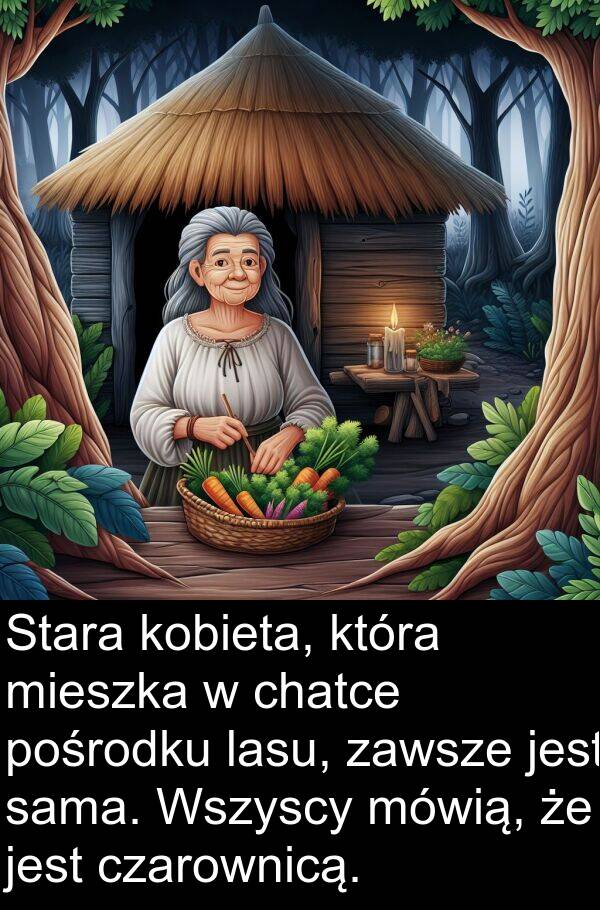 lasu: Stara kobieta, która mieszka w chatce pośrodku lasu, zawsze jest sama. Wszyscy mówią, że jest czarownicą.