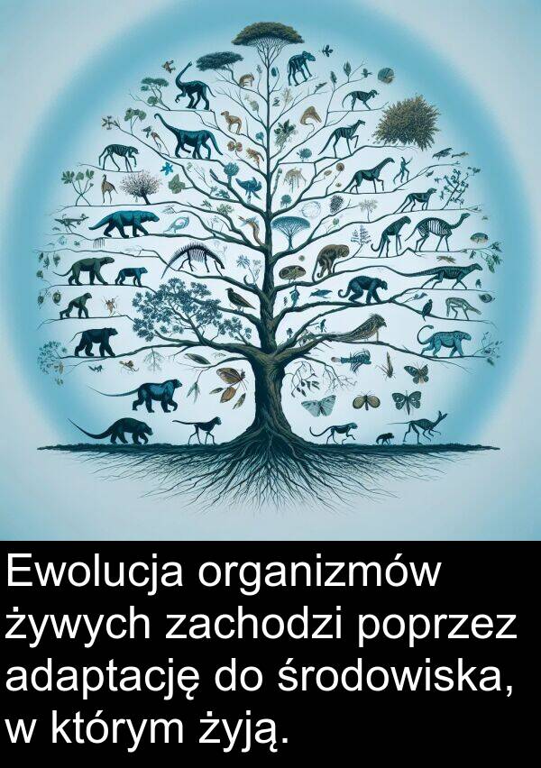 adaptację: Ewolucja organizmów żywych zachodzi poprzez adaptację do środowiska, w którym żyją.