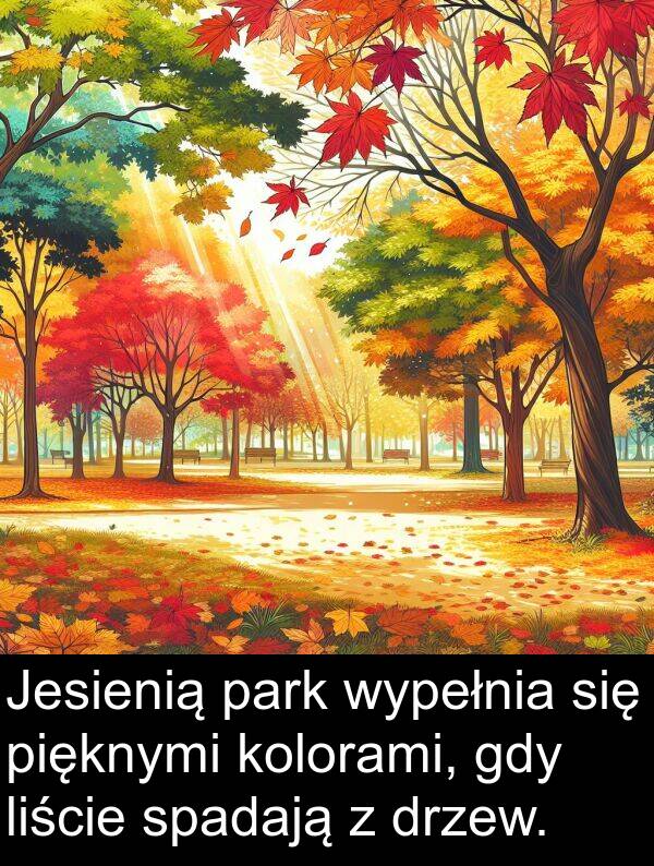 park: Jesienią park wypełnia się pięknymi kolorami, gdy liście spadają z drzew.