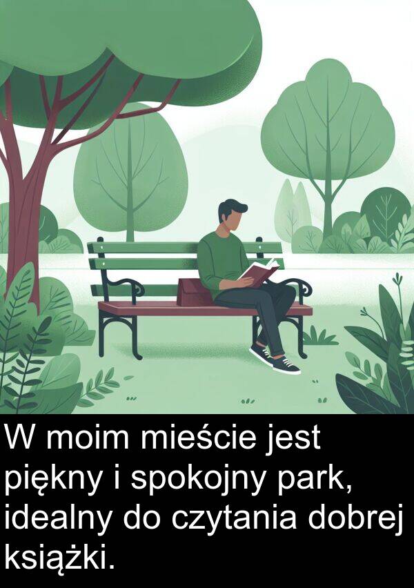 park: W moim mieście jest piękny i spokojny park, idealny do czytania dobrej książki.