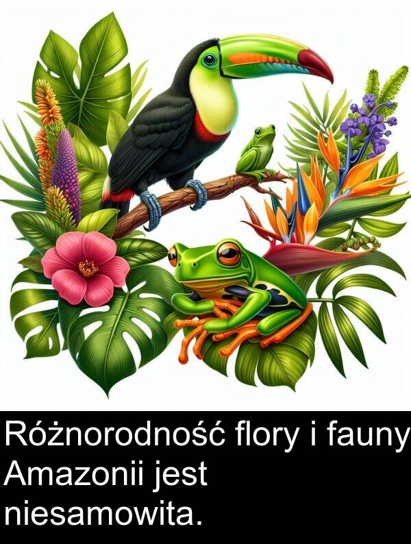 flory: Różnorodność flory i fauny Amazonii jest niesamowita.