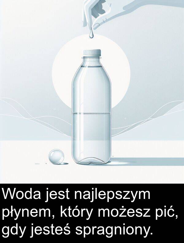 jesteś: Woda jest najlepszym płynem, który możesz pić, gdy jesteś spragniony.