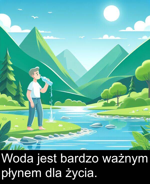 bardzo: Woda jest bardzo ważnym płynem dla życia.