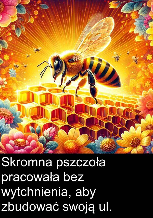 ul: Skromna pszczoła pracowała bez wytchnienia, aby zbudować swoją ul.