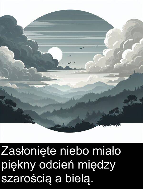 miało: Zasłonięte niebo miało piękny odcień między szarością a bielą.