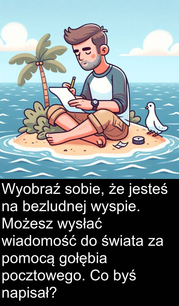 jesteś: Wyobraź sobie, że jesteś na bezludnej wyspie. Możesz wysłać wiadomość do świata za pomocą gołębia pocztowego. Co byś napisał?