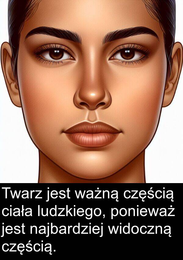 ciała: Twarz jest ważną częścią ciała ludzkiego, ponieważ jest najbardziej widoczną częścią.