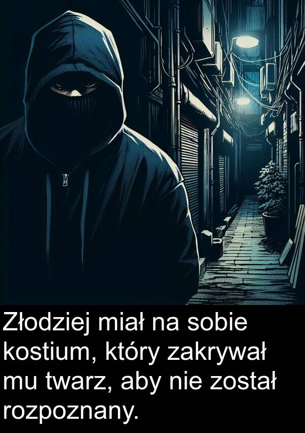 twarz: Złodziej miał na sobie kostium, który zakrywał mu twarz, aby nie został rozpoznany.