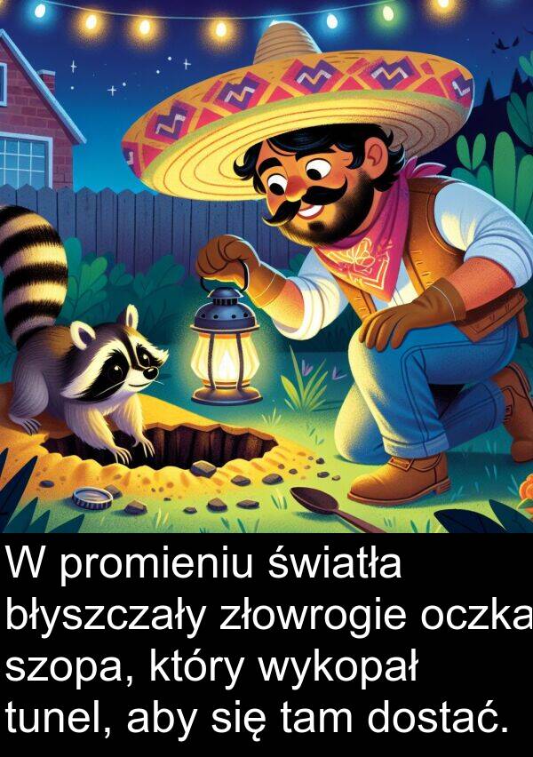 tam: W promieniu światła błyszczały złowrogie oczka szopa, który wykopał tunel, aby się tam dostać.