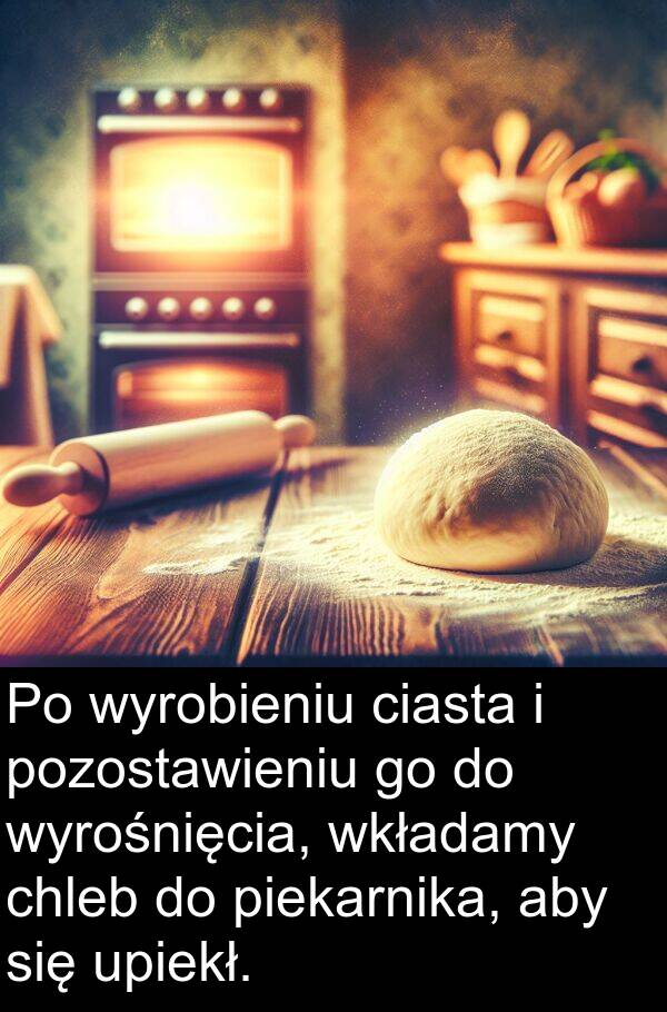 chleb: Po wyrobieniu ciasta i pozostawieniu go do wyrośnięcia, wkładamy chleb do piekarnika, aby się upiekł.