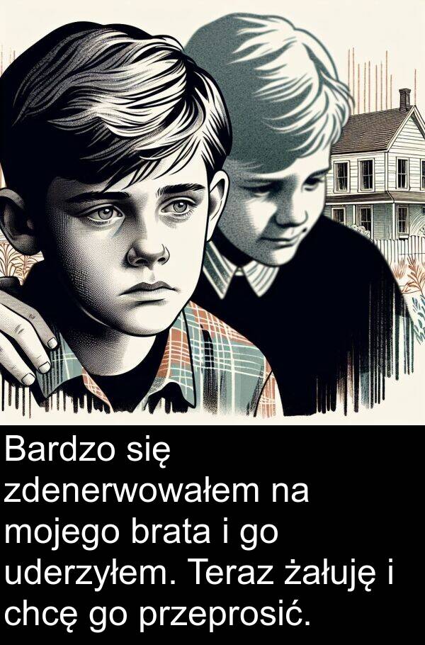 chcę: Bardzo się zdenerwowałem na mojego brata i go uderzyłem. Teraz żałuję i chcę go przeprosić.